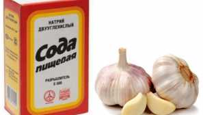 Сол и сода от бълха описание, обработка, ефективност